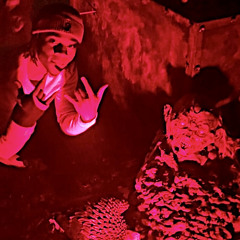 706 LA x 1sodee - Fuck Dese Hoez