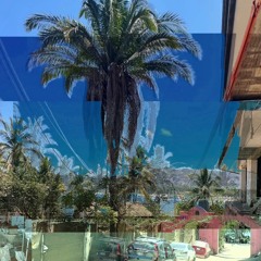 Palm Trees {Flip}