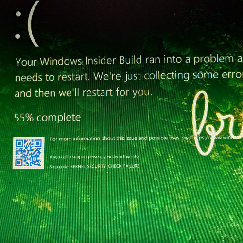 kernel level anticheat