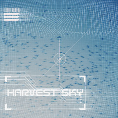 Oklou, underscores - Harvest Sky (fithoff remix)