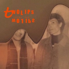 Le Pollen de la Forêt