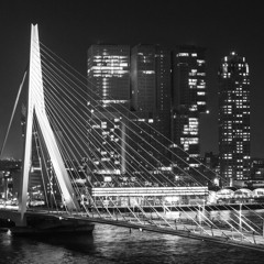 Rott'dam Discotheque #50A