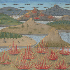 DJset at Wokule's Radio Thalflug Weekend, 08 Feb 2026