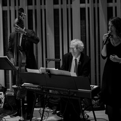 Softly, As I Leave You (live performance)