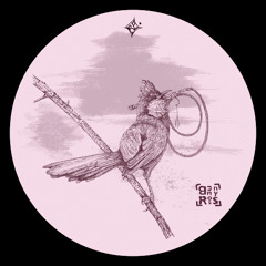 Bunny Ross - The Whip (RP007)