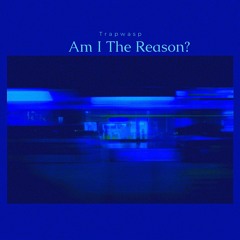 TRAPWASP - am i the reason ?