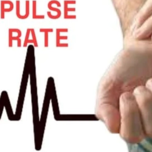 JTT -  PULSE RATE 160