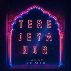 TERE JEYA HOR (Remix) - XUBAM