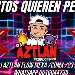 Cuantos quieren Perreo Dj Aztlan.mp3