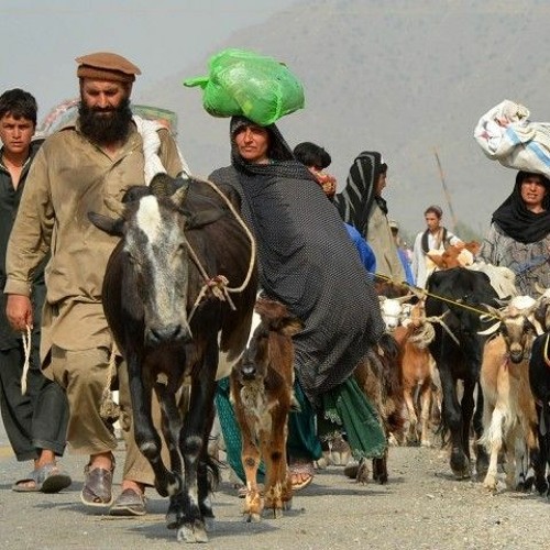 Pashto_New_Songs_2022_|_Shah_Farooq_|_Agha_Janan_Ratha_Yadezi_|__شاہ_فاروق_سندرہ(128k).mp3