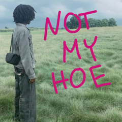 NOTMYHOE