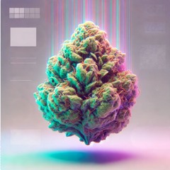 GASSED UP (SENNA + SEDATION REMIX)