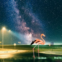 Almost Extinct - with Dennis Frolow