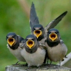 God Is Peace