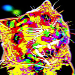 November Beat Master Challenge Winner: DSA.R