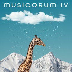 Musicorum IV