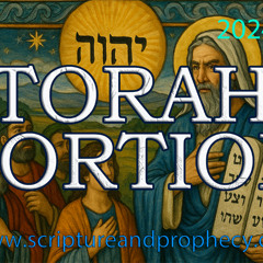 Torah Portion - Ekev: (Deuteronomy 7:12–11:25) -  Blessings for Obedience