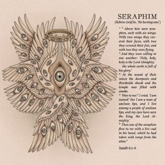 seraphim [prod. @djnausea]