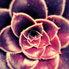028 December 2024