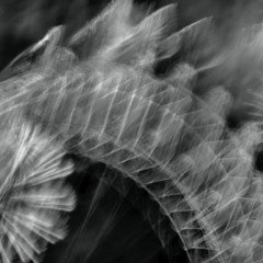 Algo de eso - Vinyl Set Grabado en K Studio