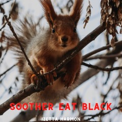 Soother Eat Black