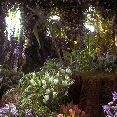 colorblind // prod gisabella