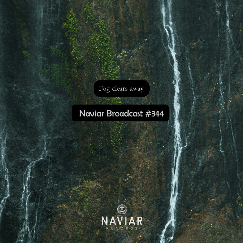 Naviar Broadcast #344 - Fog clears away... – Wednesday 6th November 2024