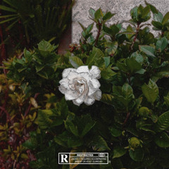Stay - Freestyle