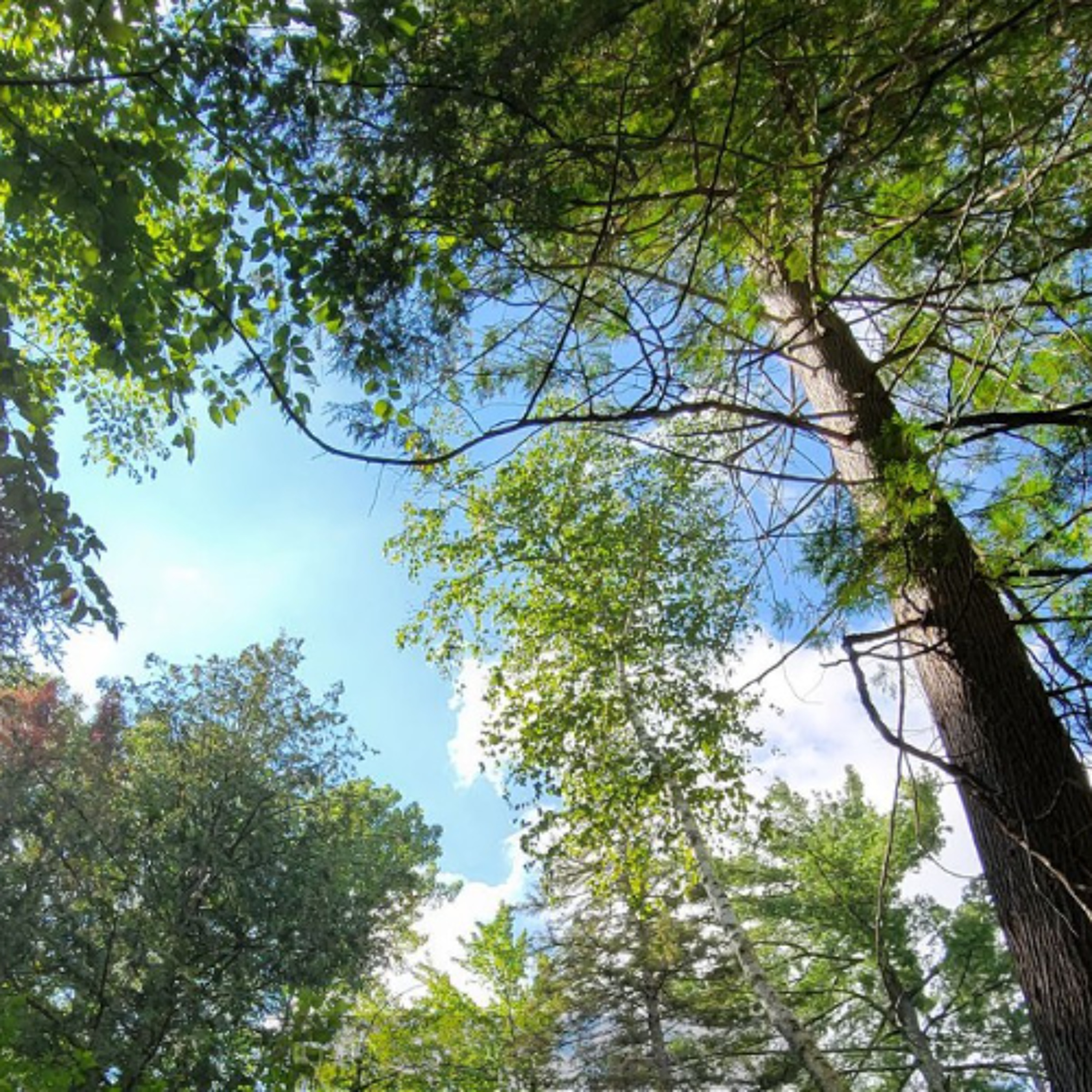 New report tries to prepare Wisconsin for climate change