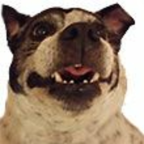 So Hark (ft. Brett + Alex) - Jaybberwocky