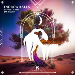 Laurent Mayer, Jak Belghit - India Whales (Cafe De Anatolia)