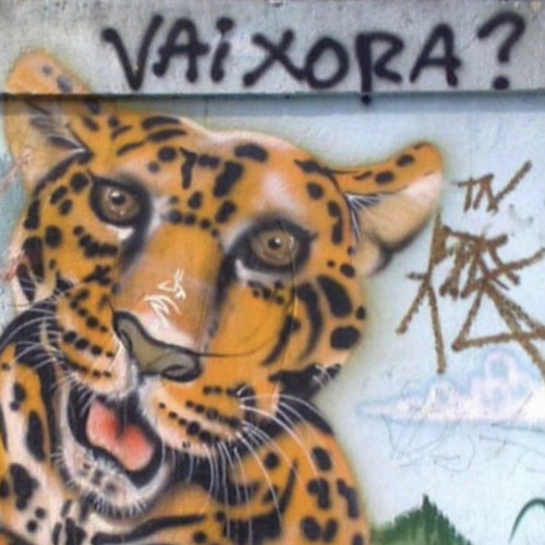 bafos dos bafos