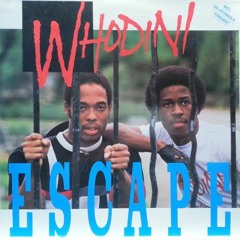 FRIENDS - WHODINI (RMX)