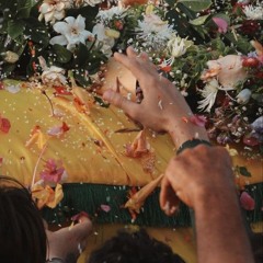 الفوز الجميل - محسن فنيش