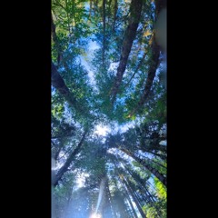 DJ Crepusculum - Katabatik Summer Solstice MMXXIV