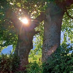 The Witch's Keks 23.10.24