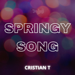 Cristian T - Springy Song (Radio edit)