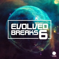 Various Artists - Evolved Breaks 6 (Compiled And Mixed by Retroid)
