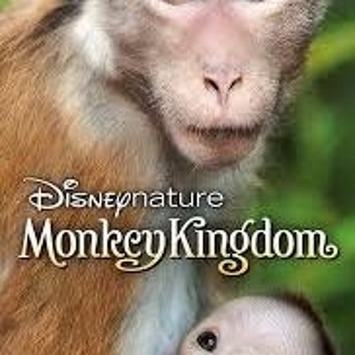 Stream The Social Hierarchy of the Monkey Kingdom: Who Rules the Ruins ...