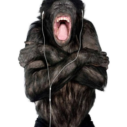 ## STTFFUU (cl1n1c MIXX) prod.ocelot&cl1n1c