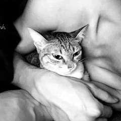 Yang - Chúng ta rồi sẽ hạnh phúc.wav