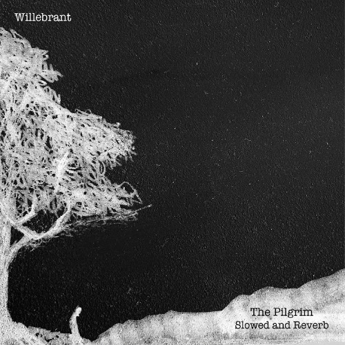 Trail - slowed and reverb