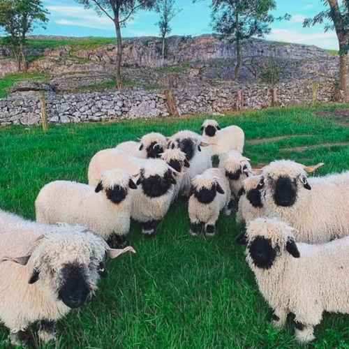 Out the Way Prod MKYFM