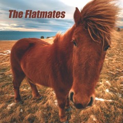 The Flatmates - Something In My Eye