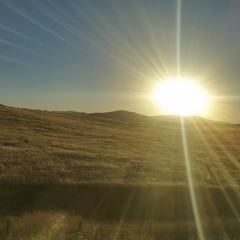 Seven Times Around the Sun