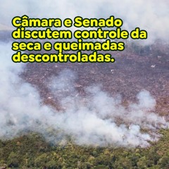 Câmara e Senado discutem controle da seca e queimadas descontroladas