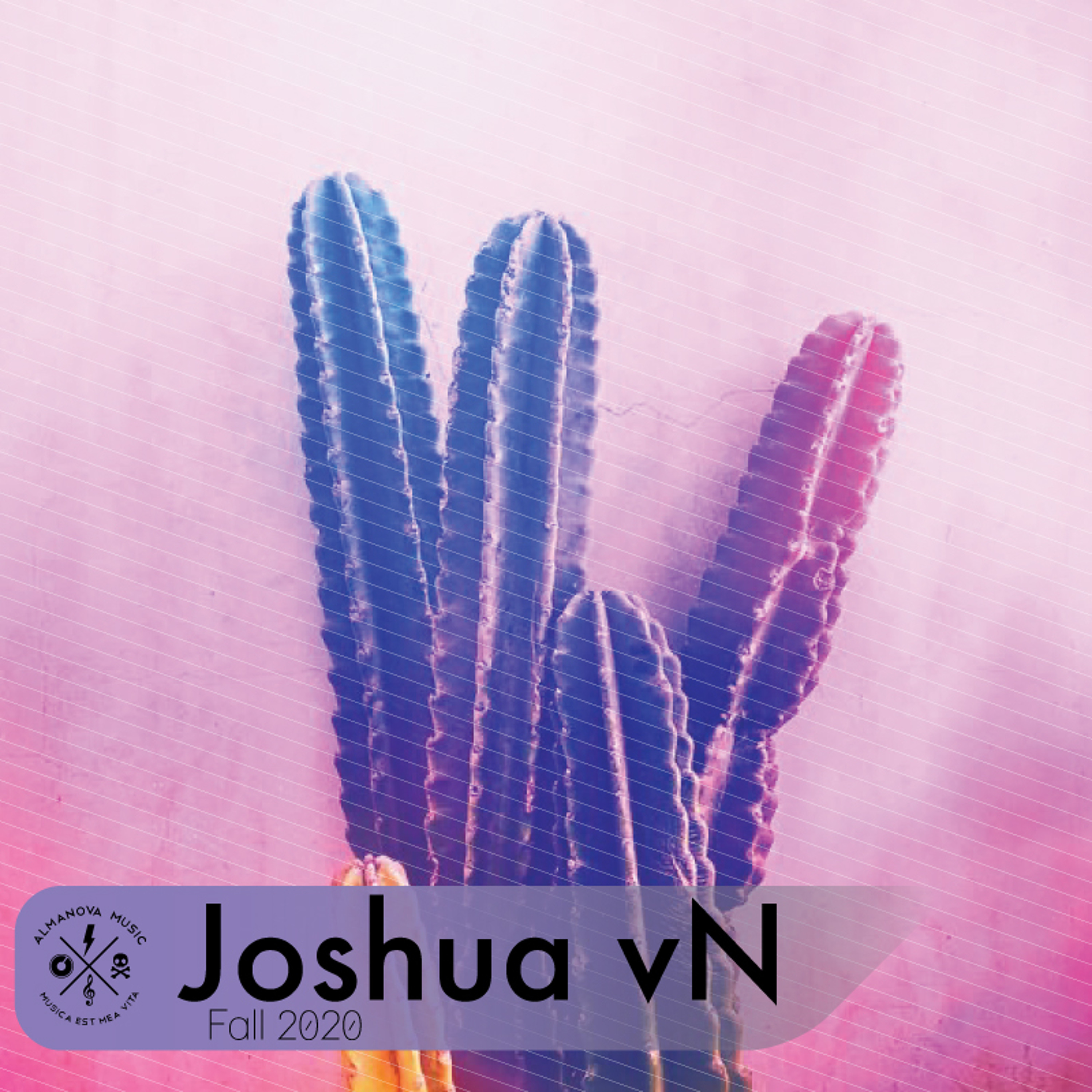 Joshua_vN
