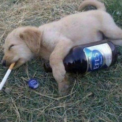 comedown