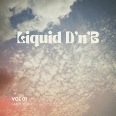 Liquid DnB Mix