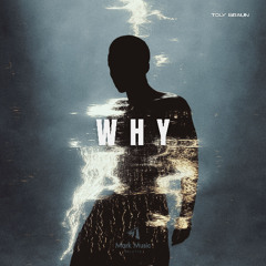 Toly Braun - Why